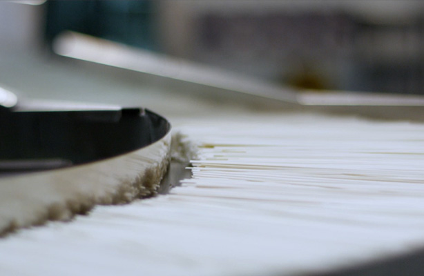 ����Ϊʲô��������